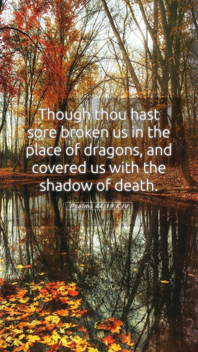 Picture 05 - Psalms 44:19 KJV Mobile Phone Wallpaper - Though thou hast sore broken us in the place of - Mobile Bible Verse Wallpaper