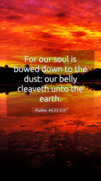 Picture 05 - Psalms 44:25 KJV Mobile Phone Wallpaper - For our soul is bowed down to the dust: our belly - Mobile Bible Verse Wallpaper