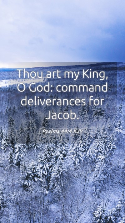 Picture 05 - Psalms 44:4 KJV Mobile Phone Wallpaper - Thou art my King, O God: command deliverances for - Mobile Bible Verse Wallpaper