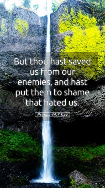 Picture 05 - Psalms 44:7 KJV Mobile Phone Wallpaper - But thou hast saved us from our enemies, and hast - Mobile Bible Verse Wallpaper