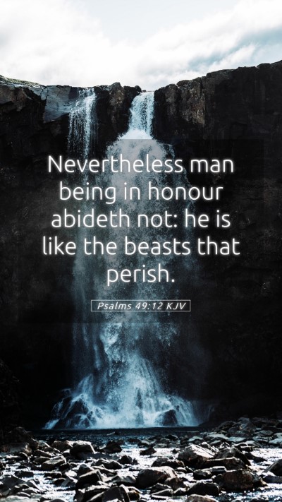 Picture 05 - Psalms 49:12 KJV Mobile Phone Wallpaper - Nevertheless man being in honour abideth not: he - Mobile Bible Verse Wallpaper