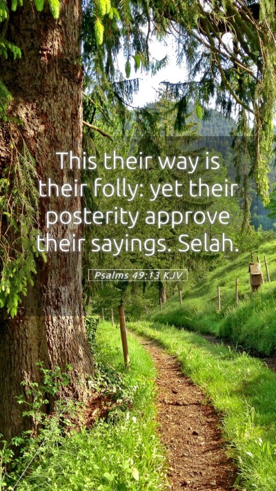 Picture 05 - Psalms 49:13 KJV Mobile Phone Wallpaper - This their way is their folly: yet their - Mobile Bible Verse Wallpaper
