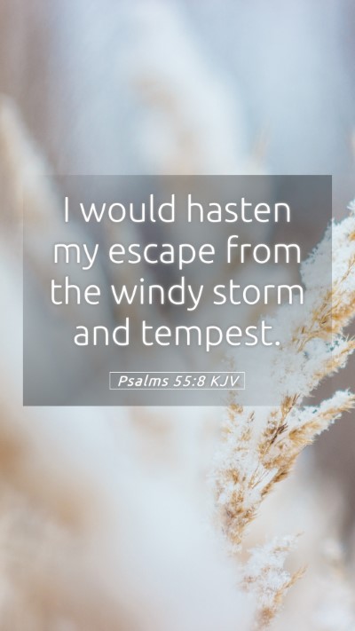 Picture 05 - Psalms 55:8 KJV Mobile Phone Wallpaper - I would hasten my escape from the windy storm and - Mobile Bible Verse Wallpaper
