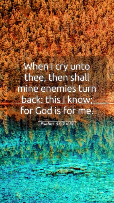 Picture 05 - Psalms 56:9 KJV Mobile Phone Wallpaper - When I cry unto thee, then shall mine enemies - Mobile Bible Verse Wallpaper