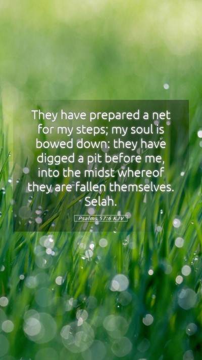 Picture 05 - Psalms 57:6 KJV Mobile Phone Wallpaper - They have prepared a net for my steps; my soul is - Mobile Bible Verse Wallpaper