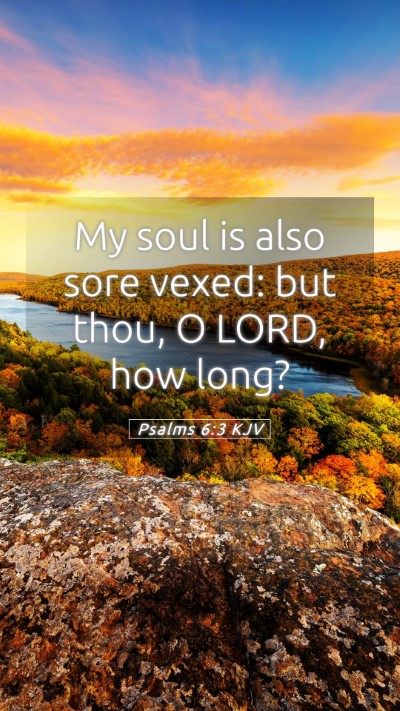 Picture 05 - Psalms 6:3 KJV Mobile Phone Wallpaper - My soul is also sore vexed: but thou, O LORD, how - Mobile Bible Verse Wallpaper