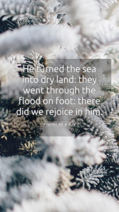 Picture 05 - Psalms 66:6 KJV Mobile Phone Wallpaper - He turned the sea into dry land: they went - Mobile Bible Verse Wallpaper