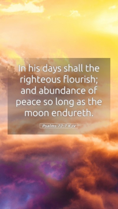 Picture 05 - Psalms 72:7 KJV Mobile Phone Wallpaper - In his days shall the righteous flourish; and - Mobile Bible Verse Wallpaper