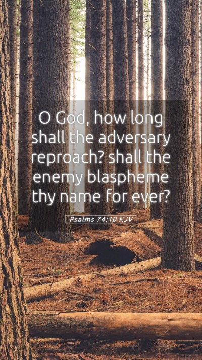 Picture 05 - Psalms 74:10 KJV Mobile Phone Wallpaper - O God, how long shall the adversary reproach? - Mobile Bible Verse Wallpaper