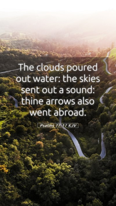 Picture 05 - Psalms 77:17 KJV Mobile Phone Wallpaper - The clouds poured out water: the skies sent out a - Mobile Bible Verse Wallpaper