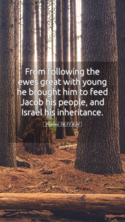 Picture 05 - Psalms 78:71 KJV Mobile Phone Wallpaper - From following the ewes great with young he - Mobile Bible Verse Wallpaper