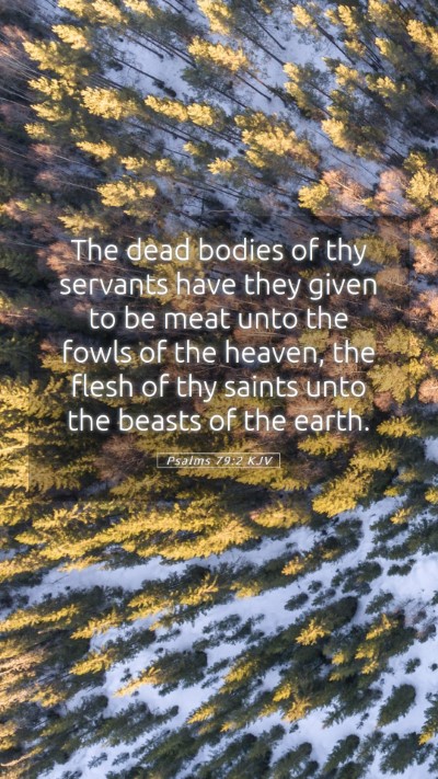 Picture 05 - Psalms 79:2 KJV Mobile Phone Wallpaper - The dead bodies of thy servants have they given - Mobile Bible Verse Wallpaper