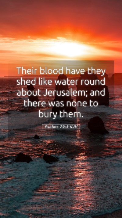 Picture 05 - Psalms 79:3 KJV Mobile Phone Wallpaper - Their blood have they shed like water round about - Mobile Bible Verse Wallpaper