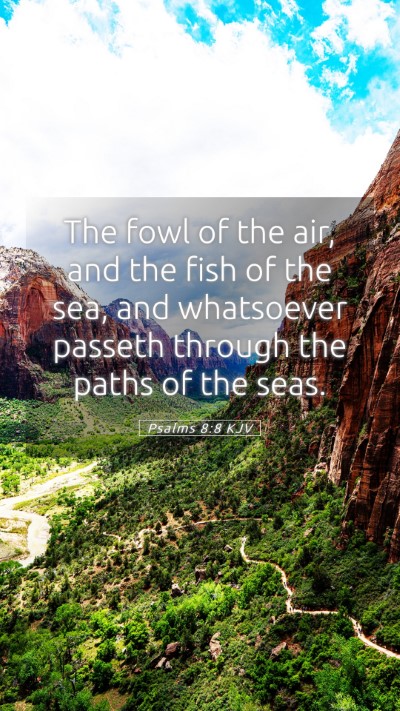 Picture 05 - Psalms 8:8 KJV Mobile Phone Wallpaper - The fowl of the air, and the fish of the sea, and - Mobile Bible Verse Wallpaper