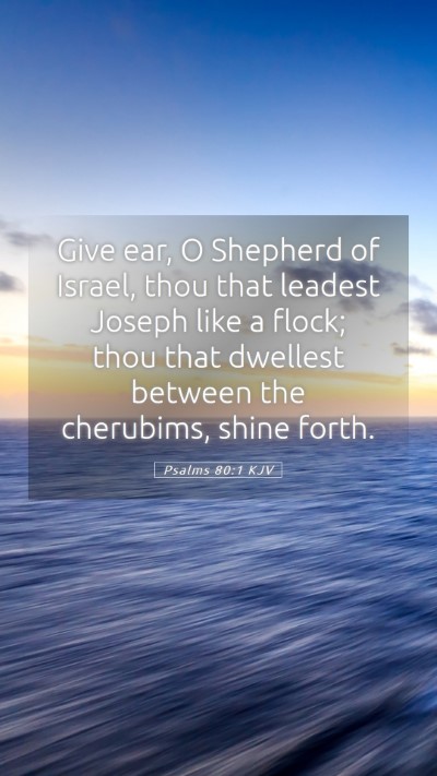 Picture 05 - Psalms 80:1 KJV Mobile Phone Wallpaper - Give ear, O Shepherd of Israel, thou that leadest - Mobile Bible Verse Wallpaper