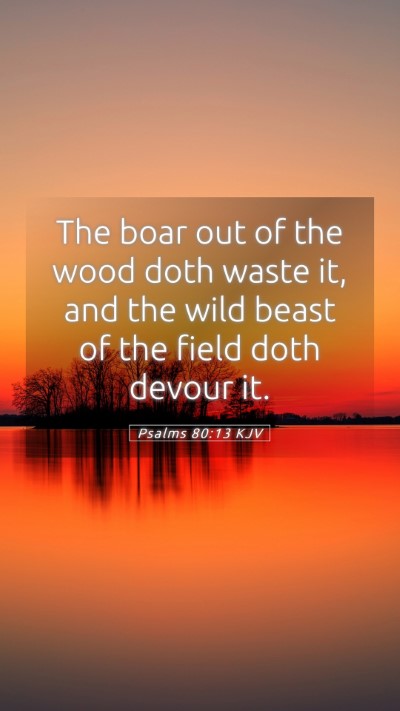 Picture 05 - Psalms 80:13 KJV Mobile Phone Wallpaper - The boar out of the wood doth waste it, and the - Mobile Bible Verse Wallpaper