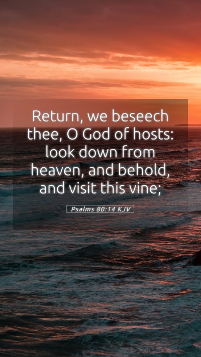 Picture 05 - Psalms 80:14 KJV Mobile Phone Wallpaper - Return, we beseech thee, O God of hosts: look - Mobile Bible Verse Wallpaper