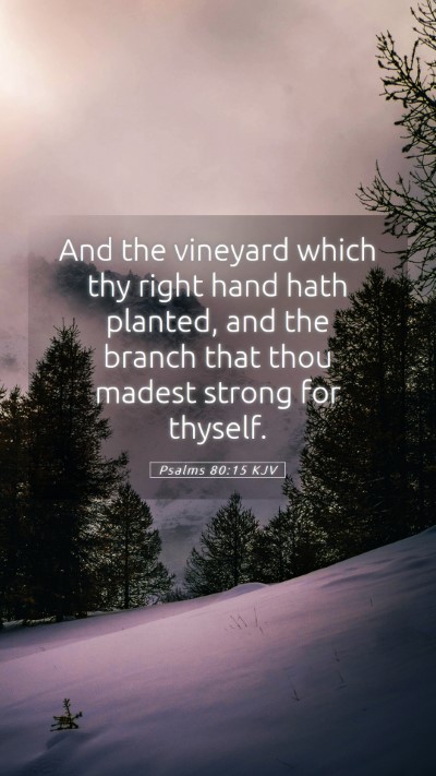 Picture 05 - Psalms 80:15 KJV Mobile Phone Wallpaper - And the vineyard which thy right hand hath - Mobile Bible Verse Wallpaper