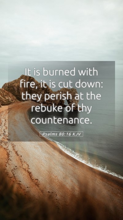 Picture 05 - Psalms 80:16 KJV Mobile Phone Wallpaper - It is burned with fire, it is cut down: they - Mobile Bible Verse Wallpaper