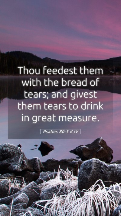 Picture 05 - Psalms 80:5 KJV Mobile Phone Wallpaper - Thou feedest them with the bread of tears; and - Mobile Bible Verse Wallpaper