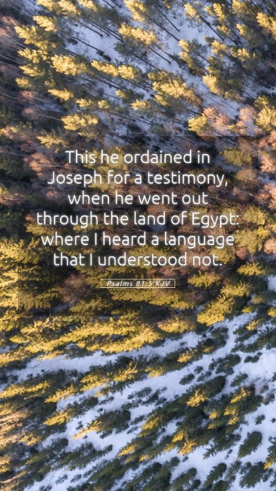 Picture 05 - Psalms 81:5 KJV Mobile Phone Wallpaper - This he ordained in Joseph for a testimony, when - Mobile Bible Verse Wallpaper