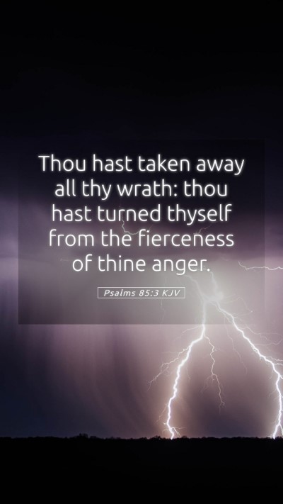 Picture 05 - Psalms 85:3 KJV Mobile Phone Wallpaper - Thou hast taken away all thy wrath: thou hast - Mobile Bible Verse Wallpaper