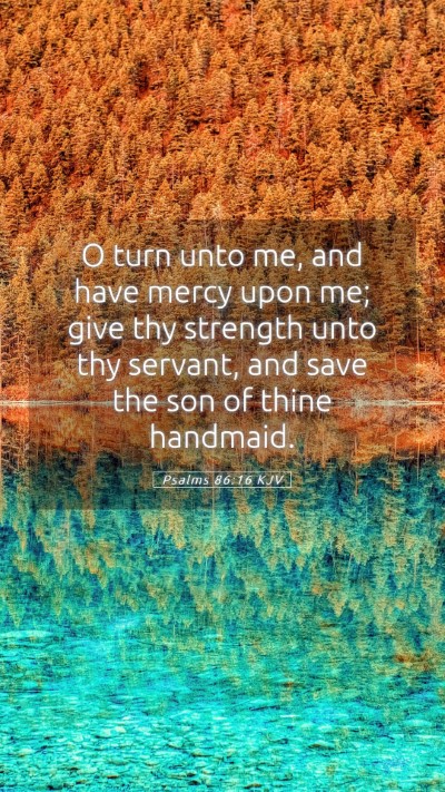 Picture 05 - Psalms 86:16 KJV Mobile Phone Wallpaper - O turn unto me, and have mercy upon me; give thy - Mobile Bible Verse Wallpaper