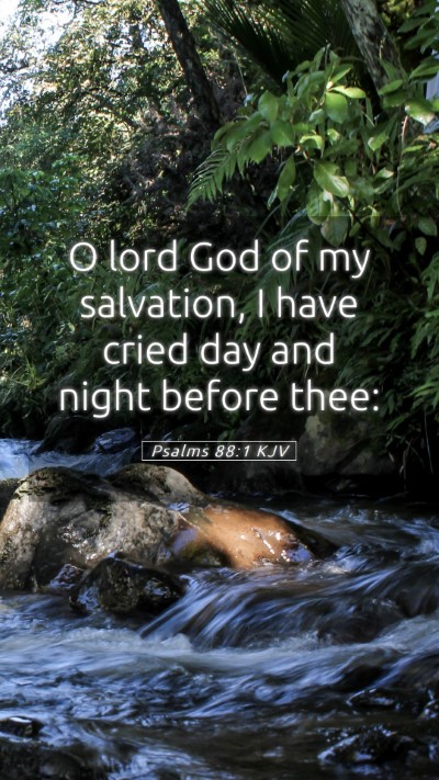 Picture 05 - Psalms 88:1 KJV Mobile Phone Wallpaper - O lord God of my salvation, I have cried day and - Mobile Bible Verse Wallpaper