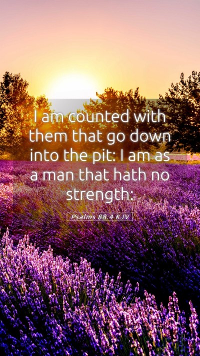 Picture 05 - Psalms 88:4 KJV Mobile Phone Wallpaper - I am counted with them that go down into the pit: - Mobile Bible Verse Wallpaper
