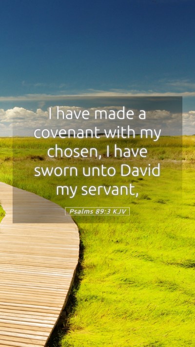 Picture 05 - Psalms 89:3 KJV Mobile Phone Wallpaper - I have made a covenant with my chosen, I have - Mobile Bible Verse Wallpaper