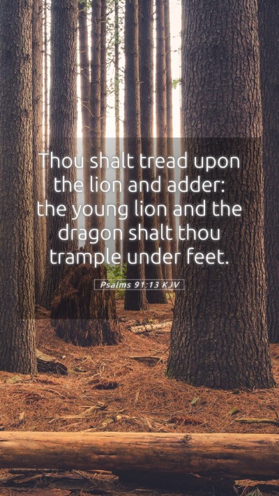 Picture 05 - Psalms 91:13 KJV Mobile Phone Wallpaper - Thou shalt tread upon the lion and adder: the - Mobile Bible Verse Wallpaper