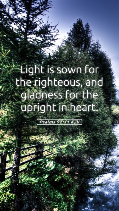 Picture 05 - Psalms 97:11 KJV Mobile Phone Wallpaper - Light is sown for the righteous, and gladness for - Mobile Bible Verse Wallpaper