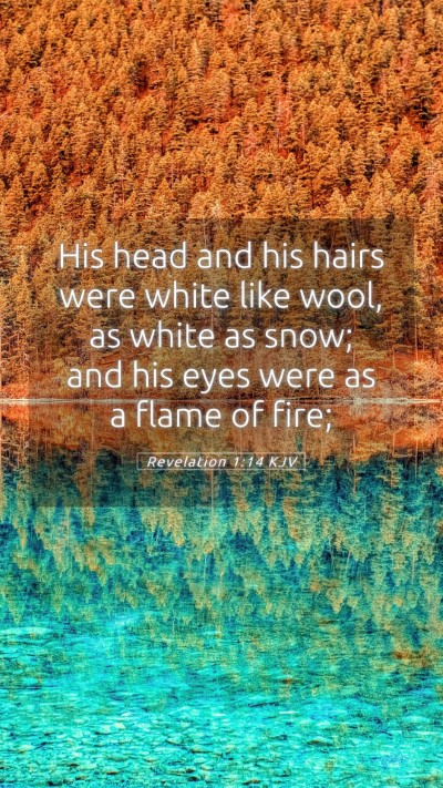Picture 05 - Revelation 1:14 KJV Mobile Phone Wallpaper - His head and his hairs were white like wool, as - Mobile Bible Verse Wallpaper