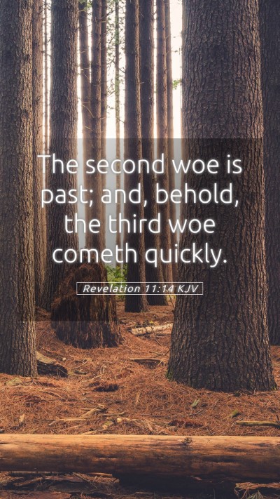 Picture 05 - Revelation 11:14 KJV Mobile Phone Wallpaper - The second woe is past; and, behold, the third - Mobile Bible Verse Wallpaper