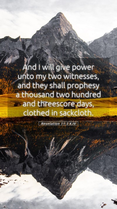 Picture 05 - Revelation 11:3 KJV Mobile Phone Wallpaper - And I will give power unto my two witnesses, and - Mobile Bible Verse Wallpaper