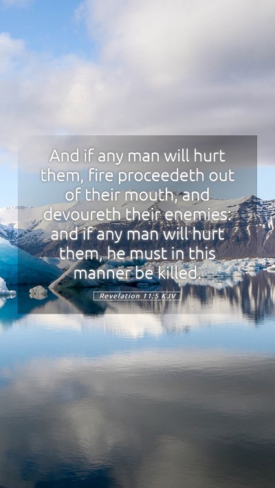 Picture 05 - Revelation 11:5 KJV Mobile Phone Wallpaper - And if any man will hurt them, fire proceedeth - Mobile Bible Verse Wallpaper