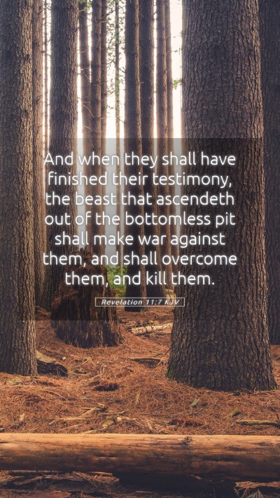 Picture 05 - Revelation 11:7 KJV Mobile Phone Wallpaper - And when they shall have finished their - Mobile Bible Verse Wallpaper