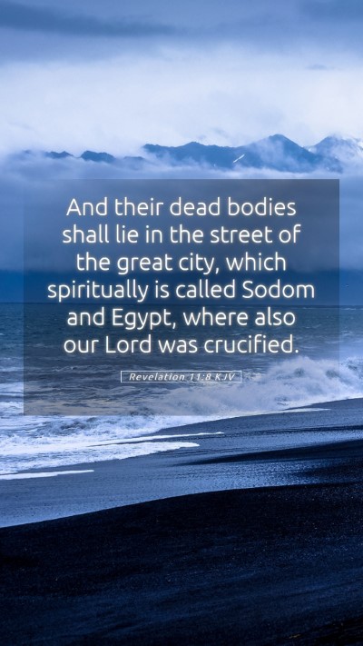 Picture 05 - Revelation 11:8 KJV Mobile Phone Wallpaper - And their dead bodies shall lie in the street of - Mobile Bible Verse Wallpaper