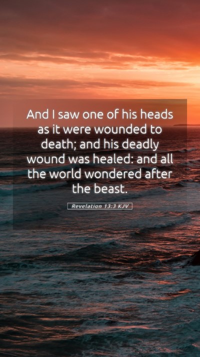Picture 05 - Revelation 13:3 KJV Mobile Phone Wallpaper - And I saw one of his heads as it were wounded to - Mobile Bible Verse Wallpaper