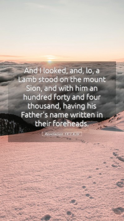Picture 05 - Revelation 14:1 KJV Mobile Phone Wallpaper - And I looked, and, lo, a Lamb stood on the mount - Mobile Bible Verse Wallpaper