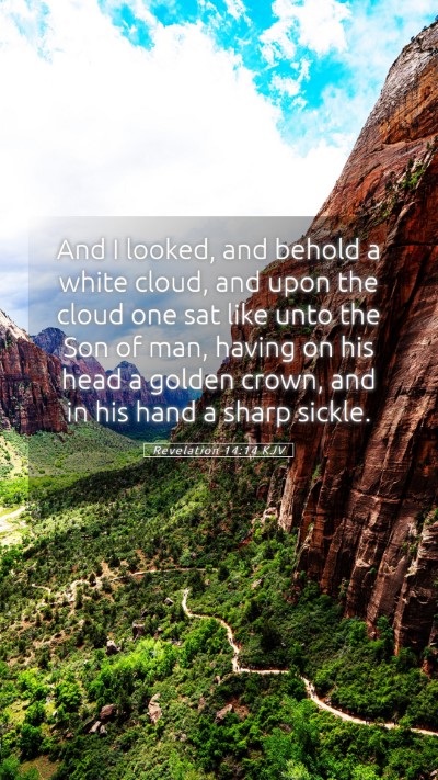 Picture 05 - Revelation 14:14 KJV Mobile Phone Wallpaper - And I looked, and behold a white cloud, and upon - Mobile Bible Verse Wallpaper