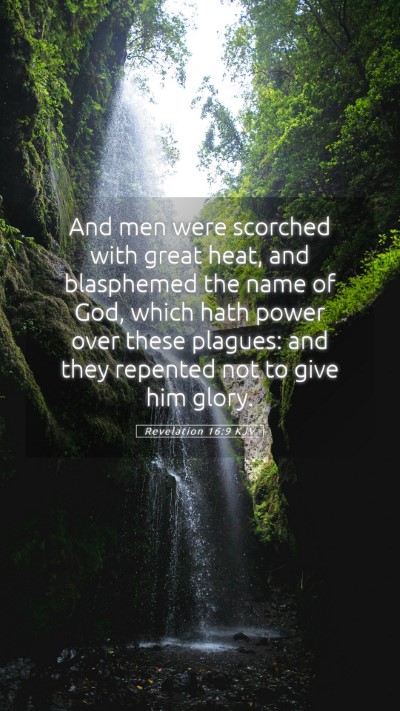 Picture 05 - Revelation 16:9 KJV Mobile Phone Wallpaper - And men were scorched with great heat, and - Mobile Bible Verse Wallpaper