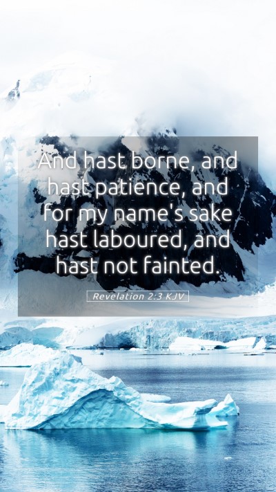 Picture 05 - Revelation 2:3 KJV Mobile Phone Wallpaper - And hast borne, and hast patience, and for my - Mobile Bible Verse Wallpaper