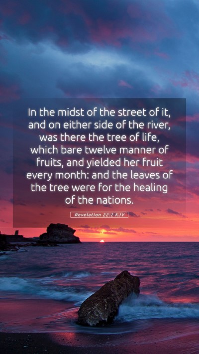 Picture 05 - Revelation 22:2 KJV Mobile Phone Wallpaper - In the midst of the street of it, and on either - Mobile Bible Verse Wallpaper
