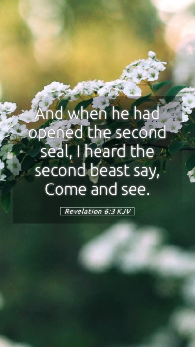 Picture 05 - Revelation 6:3 KJV Mobile Phone Wallpaper - And when he had opened the second seal, I heard - Mobile Bible Verse Wallpaper
