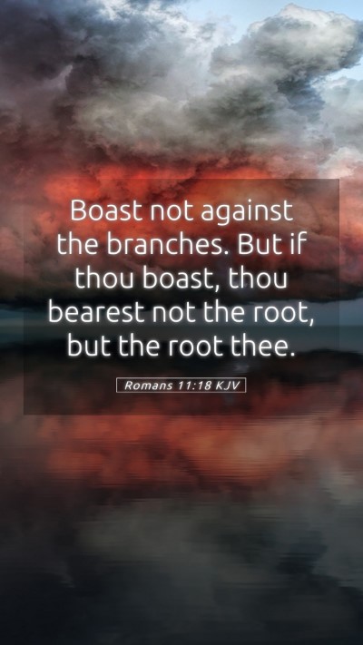 Picture 05 - Romans 11:18 KJV Mobile Phone Wallpaper - Boast not against the branches. But if thou - Mobile Bible Verse Wallpaper