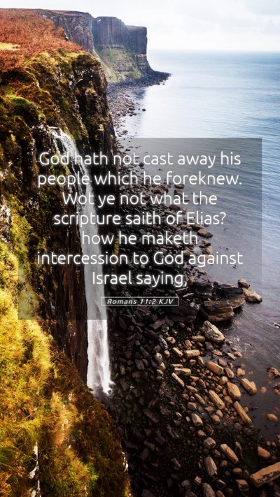 Picture 05 - Romans 11:2 KJV Mobile Phone Wallpaper - God hath not cast away his people which he - Mobile Bible Verse Wallpaper