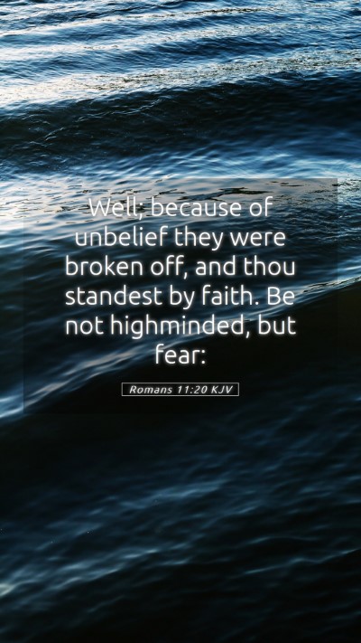 Picture 05 - Romans 11:20 KJV Mobile Phone Wallpaper - Well; because of unbelief they were broken off, - Mobile Bible Verse Wallpaper