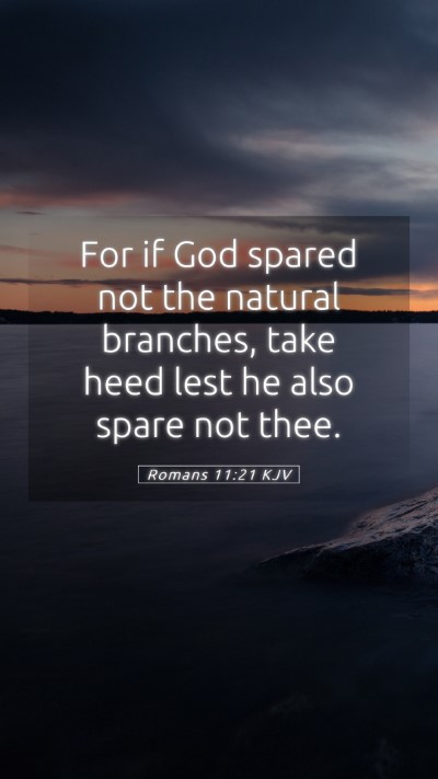 Picture 05 - Romans 11:21 KJV Mobile Phone Wallpaper - For if God spared not the natural branches, take - Mobile Bible Verse Wallpaper