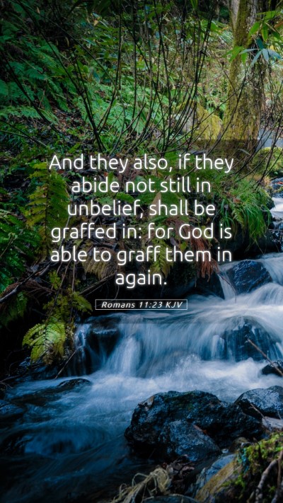Picture 05 - Romans 11:23 KJV Mobile Phone Wallpaper - And they also, if they abide not still in - Mobile Bible Verse Wallpaper